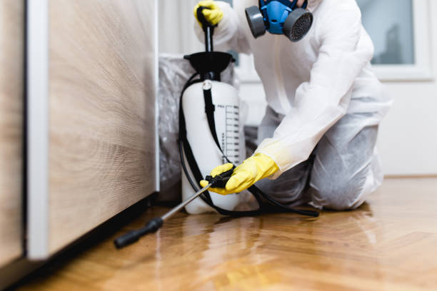Best Best Pest Control Companies  in Hoosick Falls, NY