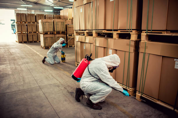 Best Pest Removal Services  in Hoosick Falls, NY