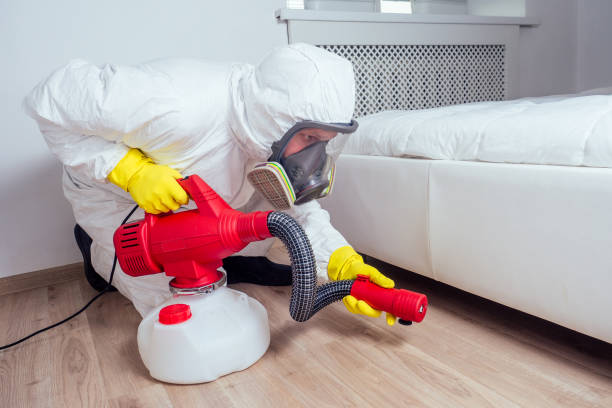 Best Flea Control Services  in Hoosick Falls, NY
