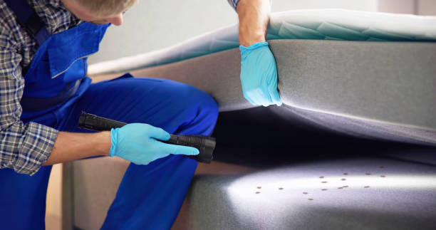 Best Exterminator Services  in Hoosick Falls, NY